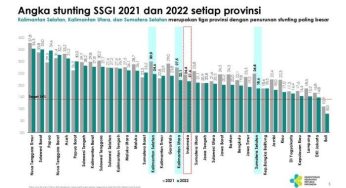 Stunting di Maluku: Mengapa Masalah Ini Perlu Diperhatikan?