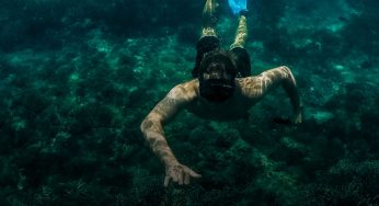 Misool: Menjelajahi 80 Spot Penyelaman Terbaik di Indonesia